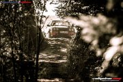 50.-nibelungenring-rallye-2017-rallyelive.com-0771.jpg